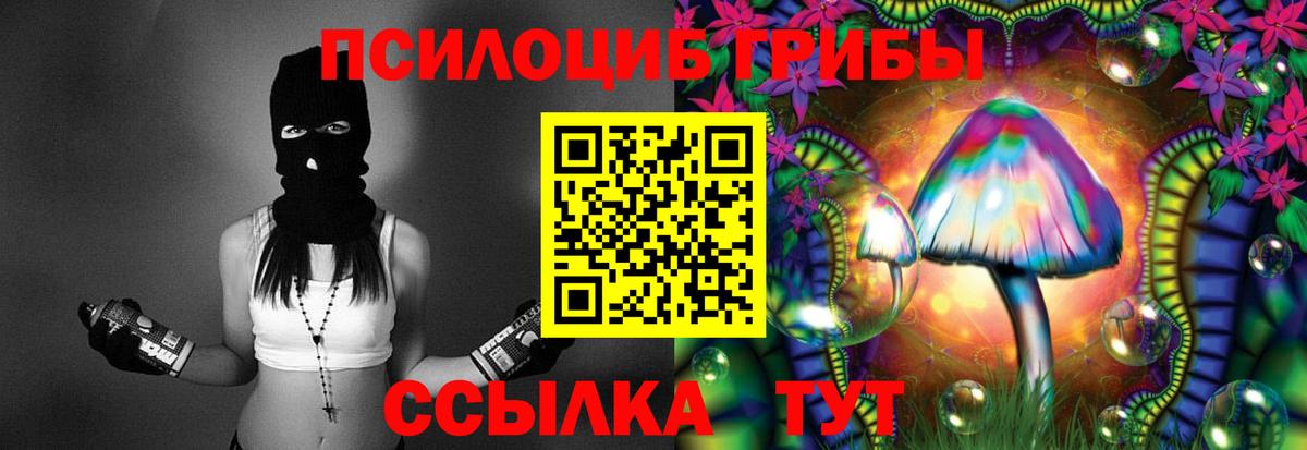 Псилоцибиновые грибы Psilocybine cubensis Красноярск